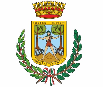stemma del comune di CASTELSARACENO