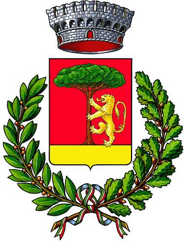 stemma del comune di BOCCHIGLIERO